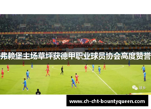 弗赖堡主场草坪获德甲职业球员协会高度赞誉